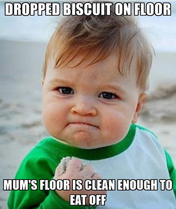 Dropped Biscuit On Floor Mums Floor Is Clean Enough To Eat Off