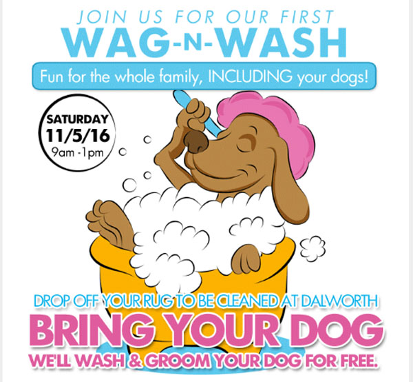 Wag N Wash