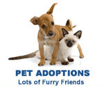 Pet Adoptions