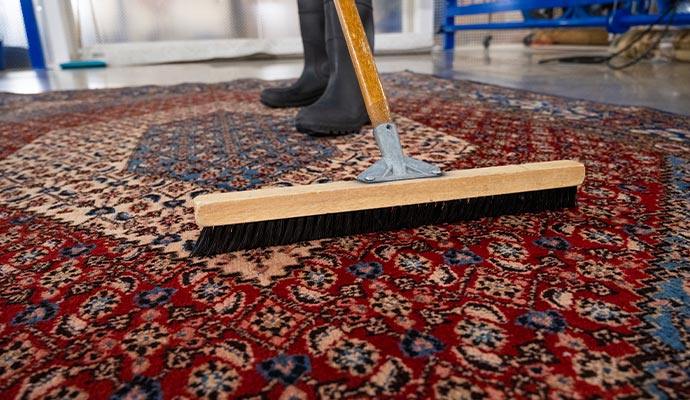 Rug Combing and Brushing in Dallas-Fort Worth