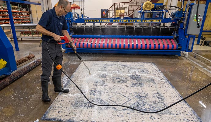 Professional cleaning an area rug.
