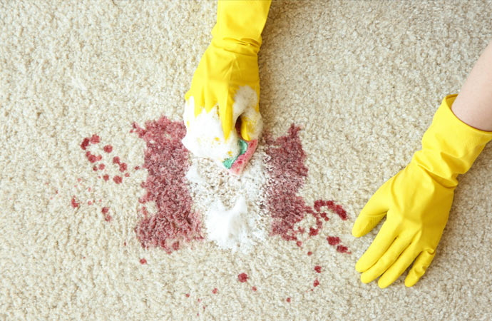 Person removing a stain from the carpet