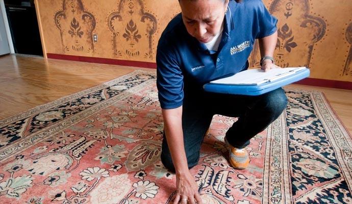 Expert inspecting rug