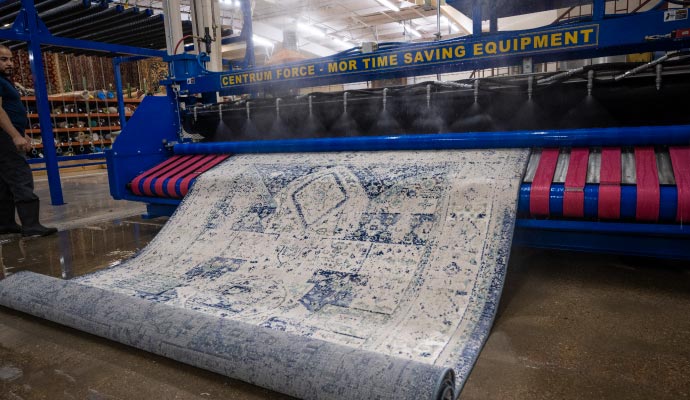 Professional rug cleaning service with hot water extraction