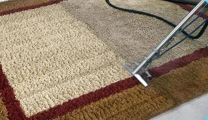 Person cleaning carpet using a steam cleaner