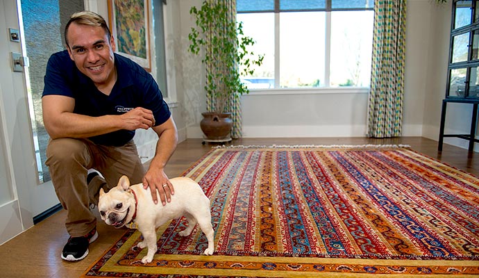 Technician inspecting a rug in a home with a dog