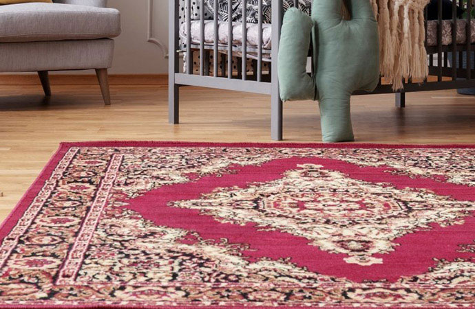 Cleaning Pet Stained Rug