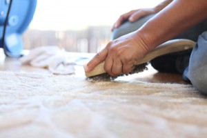 a hand holding a brush to a soapy area rug