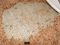 Rug Health and Your Home in Dallas-FW