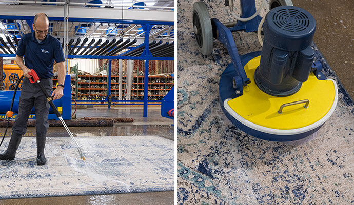 Collage of rug wet and deep cleaning services