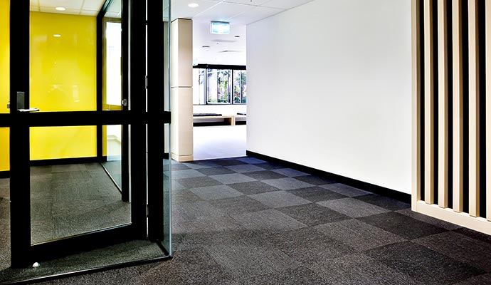 Clean carpet on floor