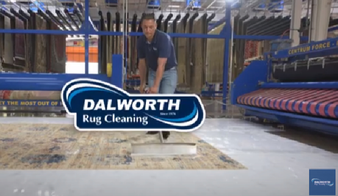 Dalworth Rug Cleaning ASMR
