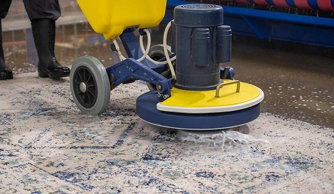 Experts cleaning area rug