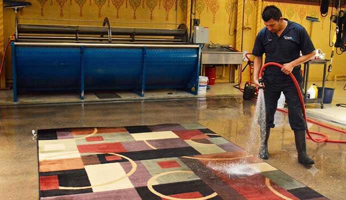 Expert cleaning a rug using a pressure washer