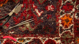 Silverfish & Firebats