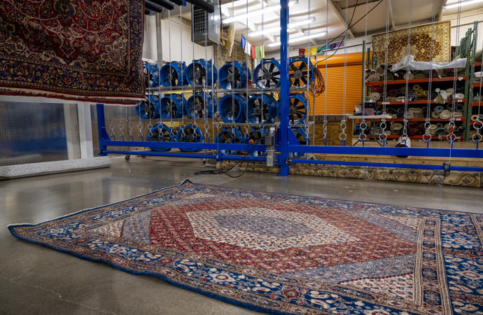 Iranian rug being cleaned on the floor