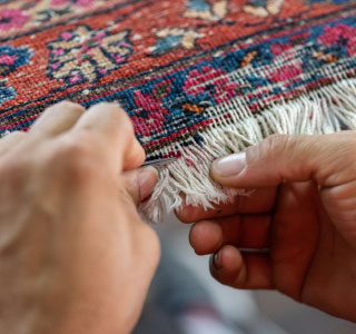 Textile Insects, Bugs &  Pests Infested Rug Repair in DFW