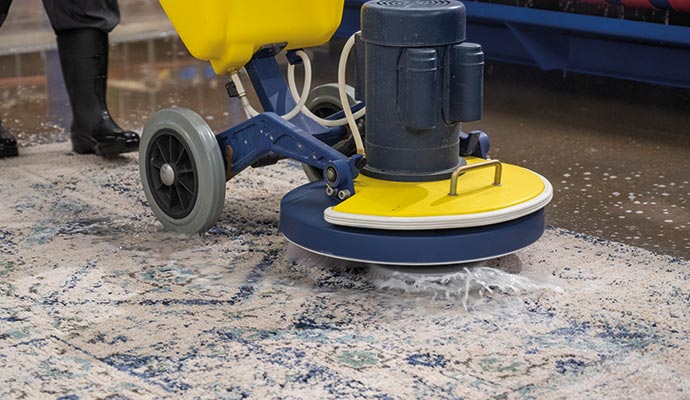 Area rug cleaning service using equipment