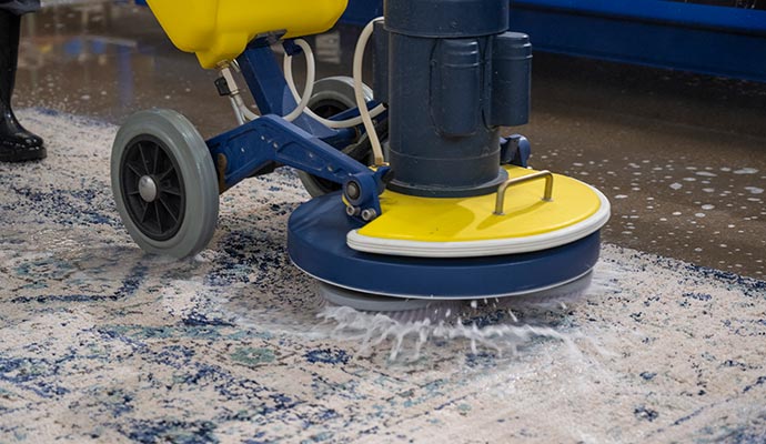 Deep cleaning service for rug using equipment