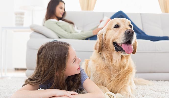 Kids playing with pet on a rug