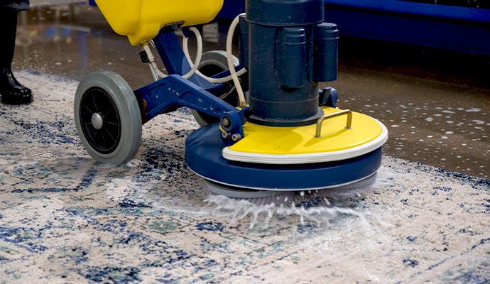 An industrial rug cleaning machine deep cleaning a blue patterned area rug in Addison