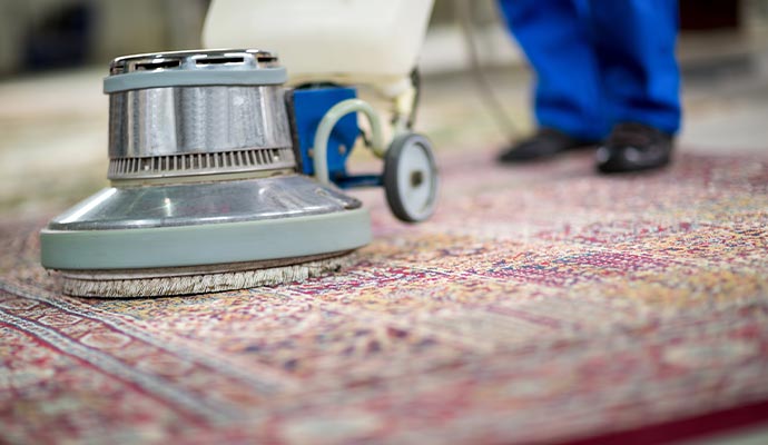 professional cleaner rug cleaning with vacuum cleaner