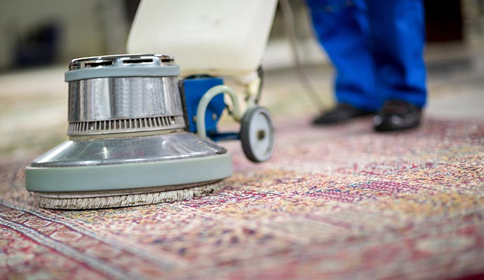 professional man rug cleaning