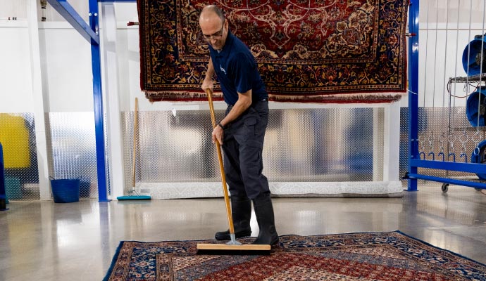 Person cleaning rug with equipment