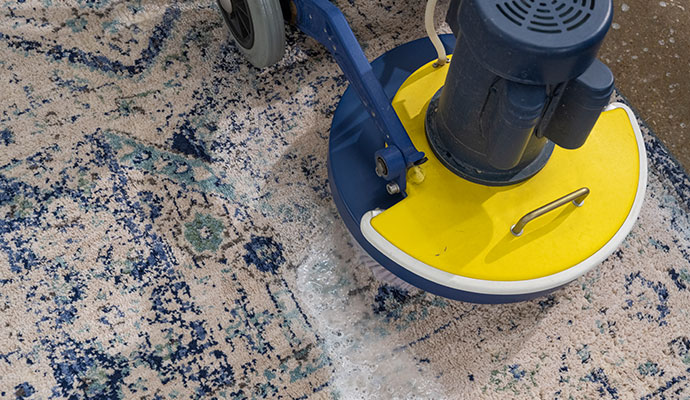 Rug Protector & Stain Repellent in Dallas-Fort Worth