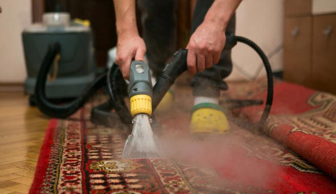 Professional rug steam cleaning service