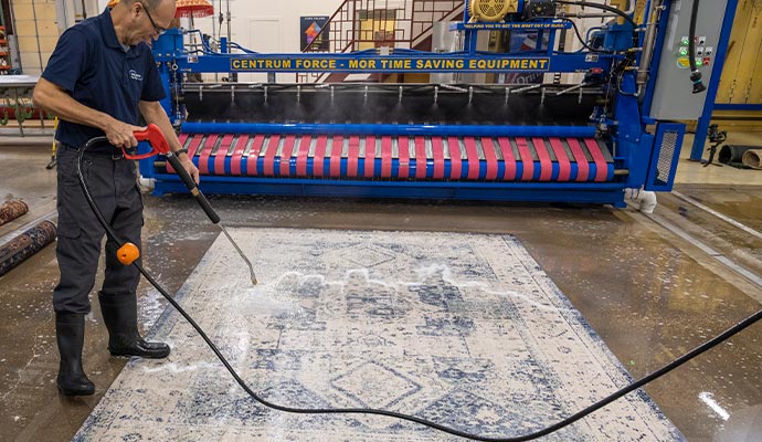 rug cleaning professionally