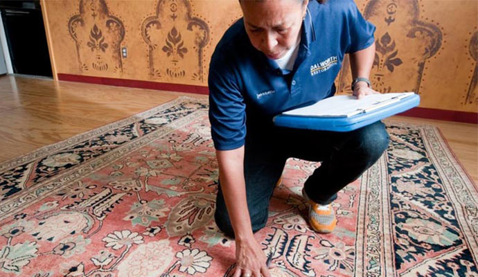 Rug inspection by experts
