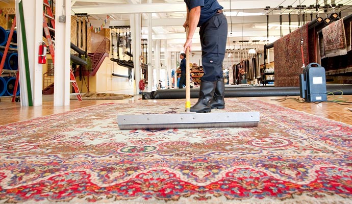 Professional cleaning dust on the rug