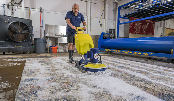 An expert cleaning a rug using professional equipment