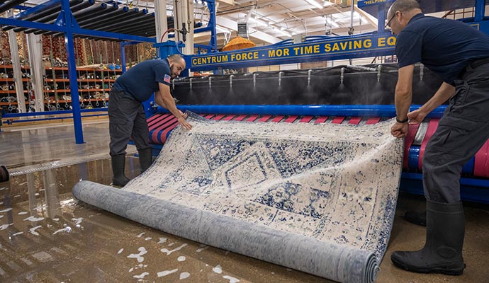 Professional team performing deep rug cleaning using a machine