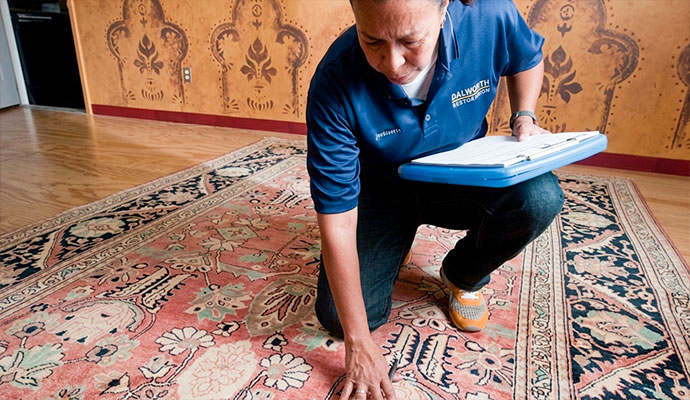 An expert inspecting a rug for maintenance