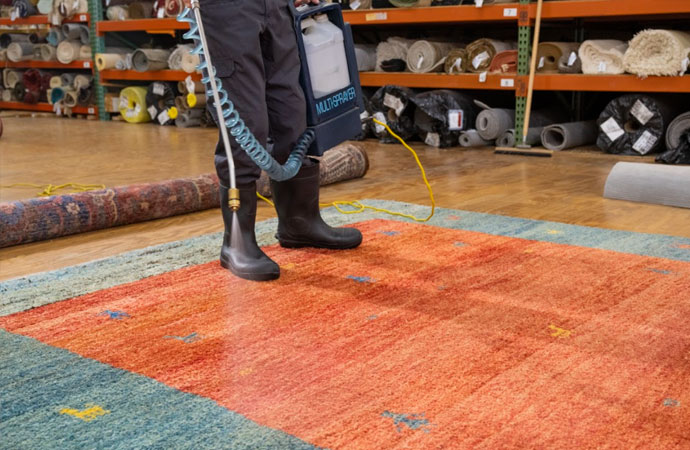 Rug Disinfecting