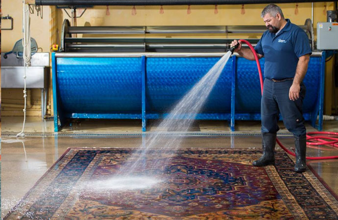 Rug Sanitizing