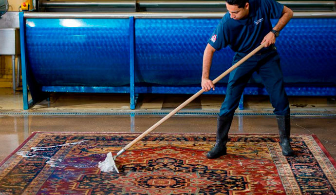 Professional worker cleaning rug