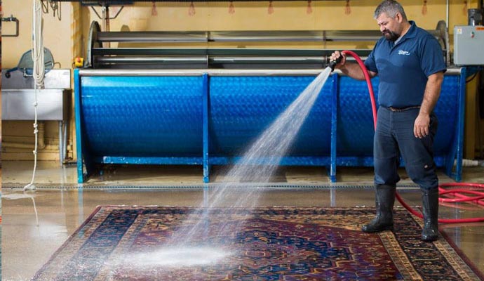 Expert sanitizing rug