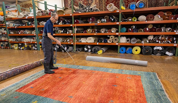 Professional worker sanitizing rug before storing