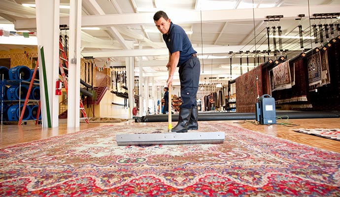 Rug Treatment in Dallas Fort Worth Area
