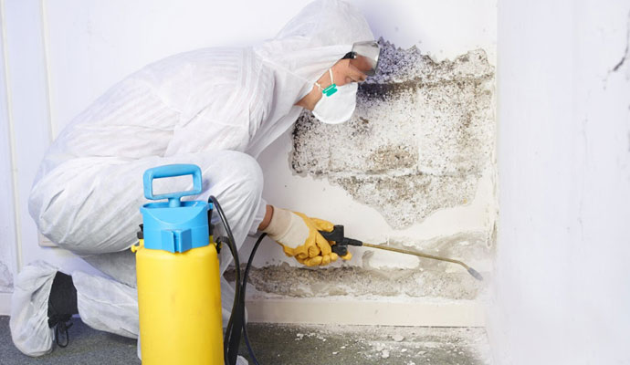 Mold/Mildew Rug Health Hazards