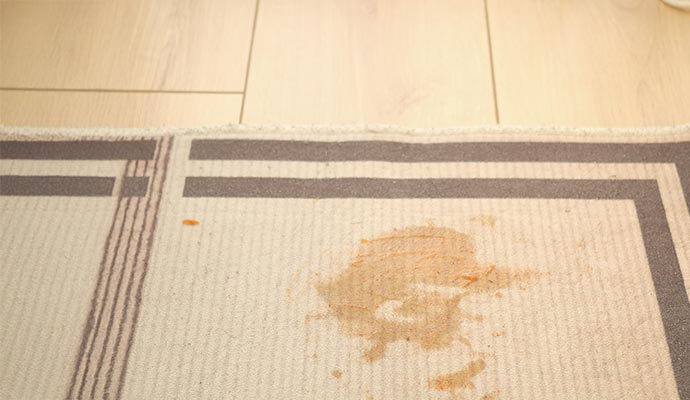 Blot spills on rug