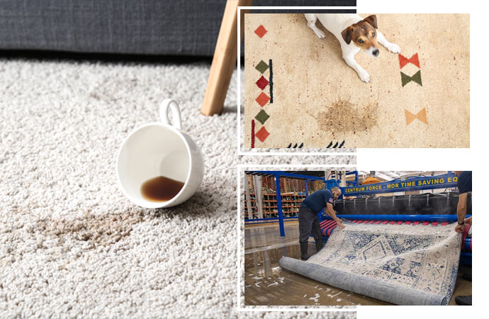 Effective rug cleaning addressing stains, odors, and deep-seated dirt.