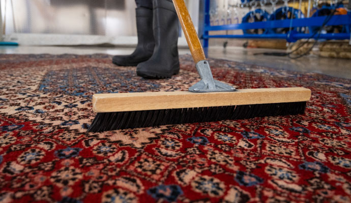 An expert cleaning dust from a rug
