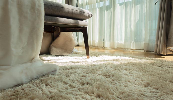 cream shag rug in sunny living room