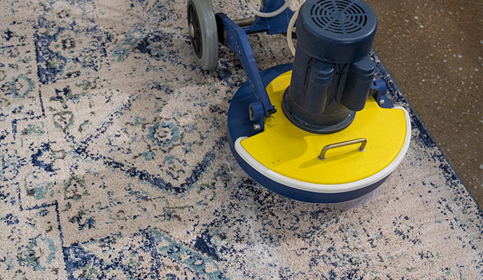 Machine deep cleaning an rug