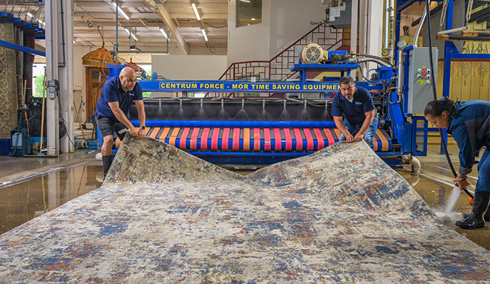 Professional team performing deep rug cleaning using a machine
