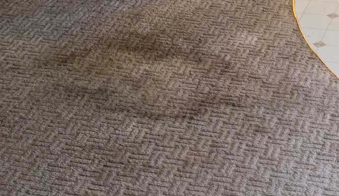 A stained carpet